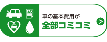 車の基本費用が全部コミコミ